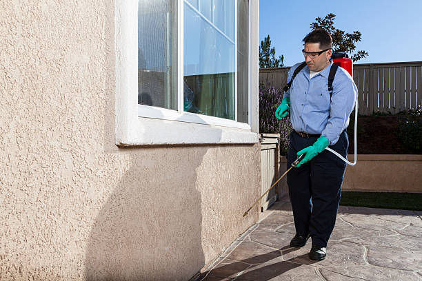 Porcupine, SD Pest Control Company